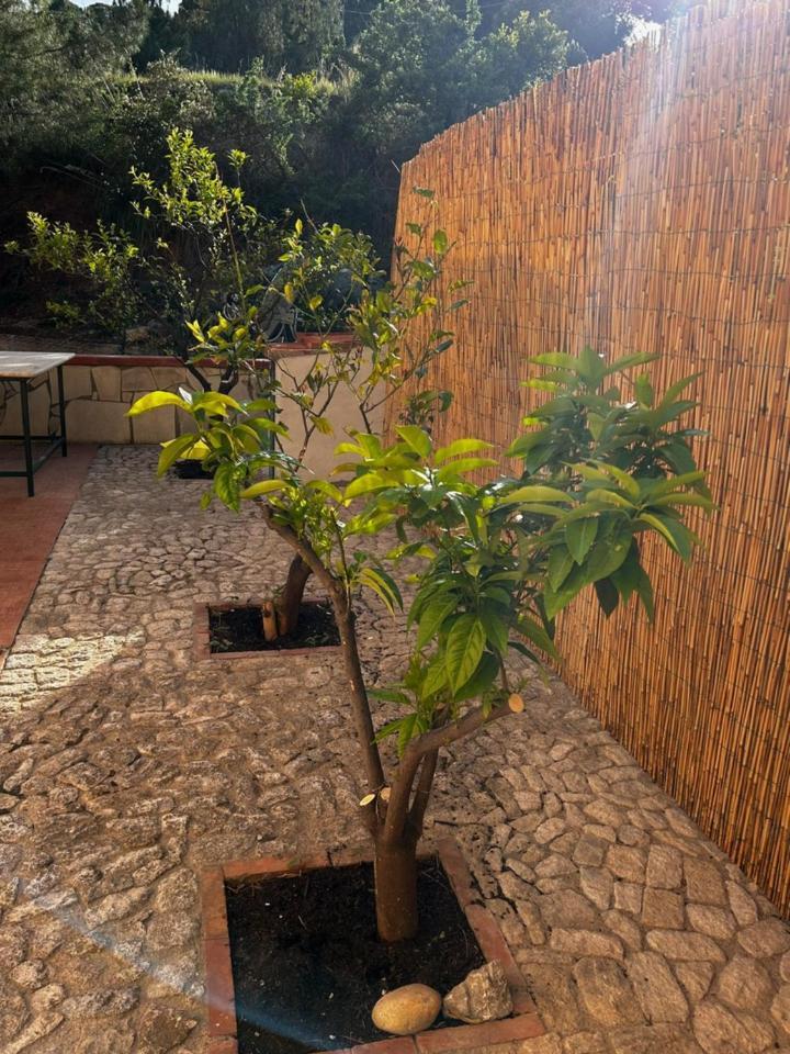 Top Relax Finale Di Pollina Exterior photo